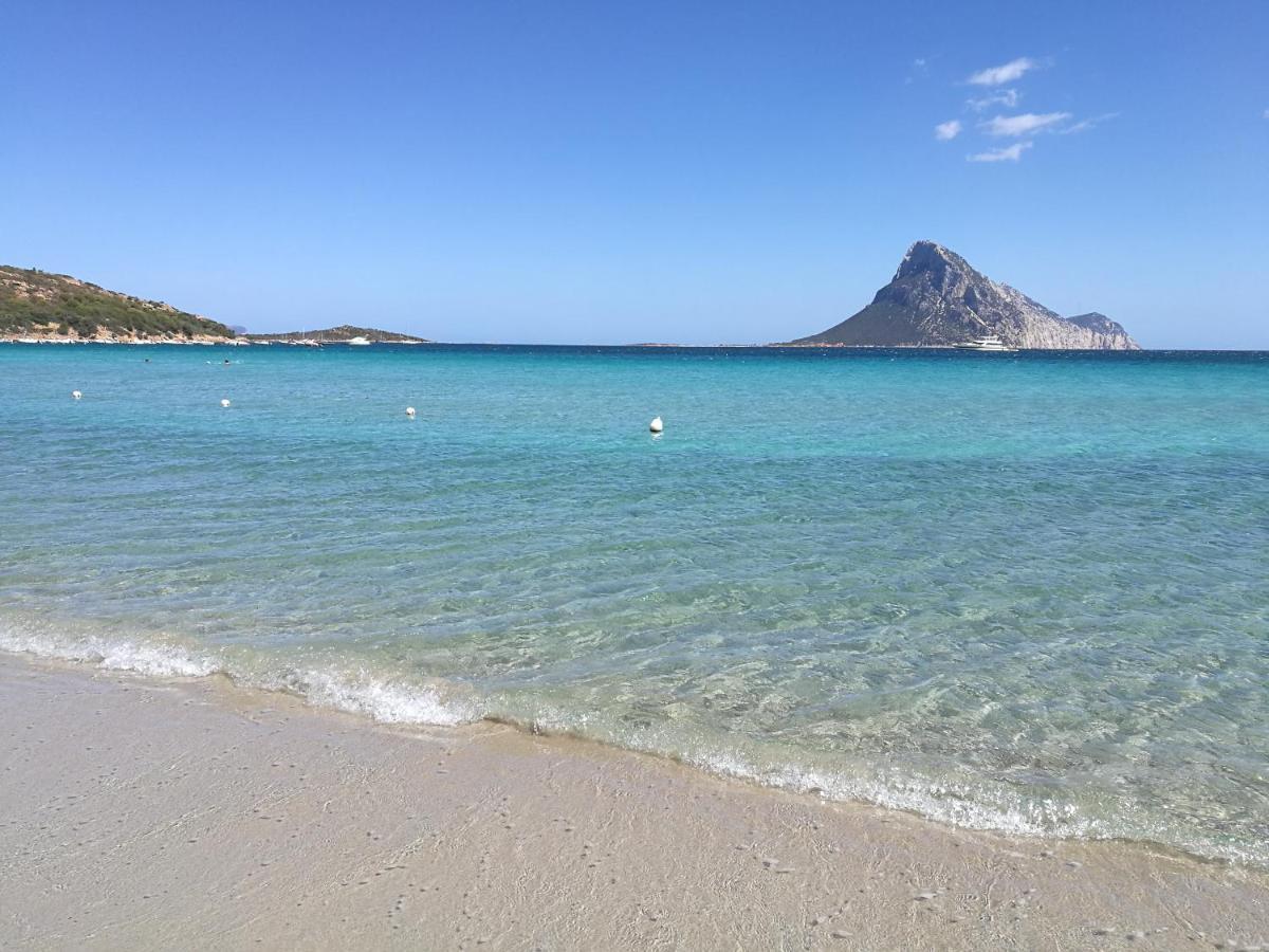 Splendida Villetta Tavolara 2 Vaccileddi Bagian luar foto